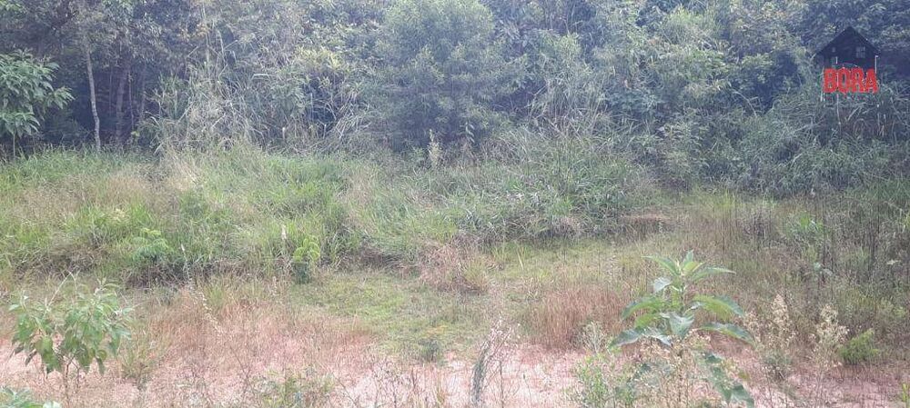 Terreno, 1220 m² - Foto 4