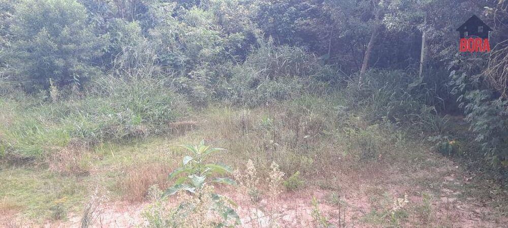 Terreno, 1220 m² - Foto 3