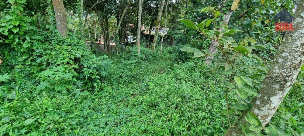 Terreno, 1250 m² - Foto 3
