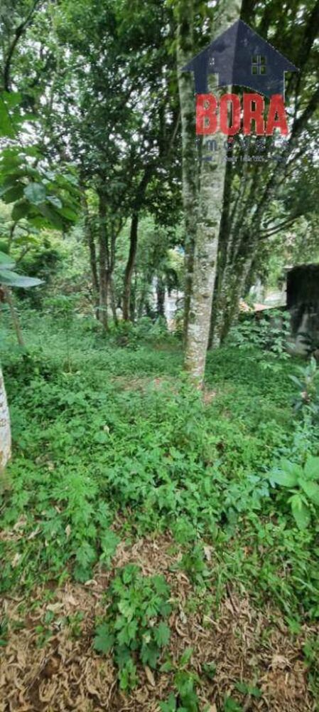 Terreno, 1250 m² - Foto 4