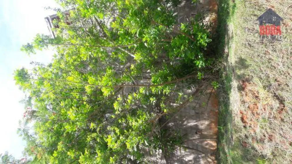 Casa, 1 quarto, 360 m² - Foto 8