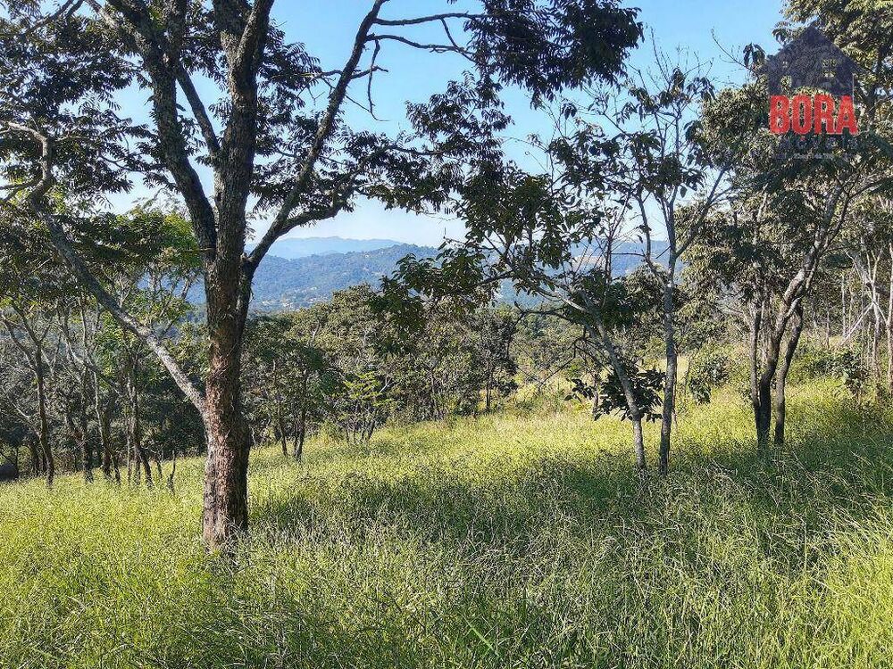 Terreno, 1000 m² - Foto 4