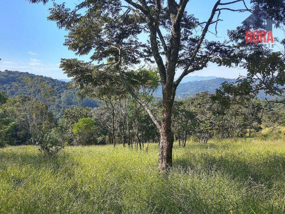 Terreno, 1000 m² - Foto 3