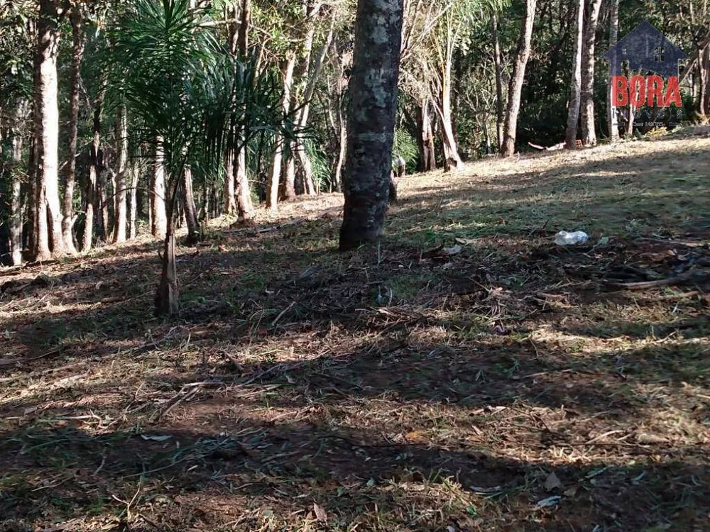 Terreno, 1500 m² - Foto 7