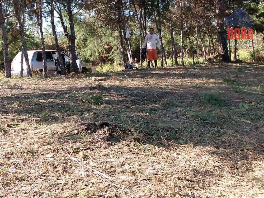 Terreno, 1500 m² - Foto 5