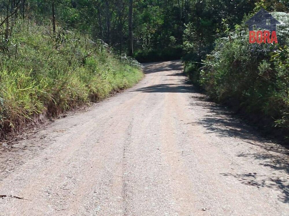 Terreno à venda, 1500M2 - Foto 3