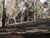 Terreno, 1500 m² - Foto 1