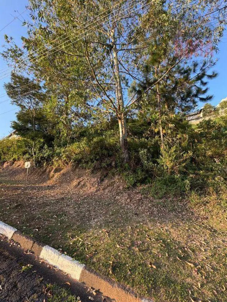 Terreno, 1029 m² - Foto 3
