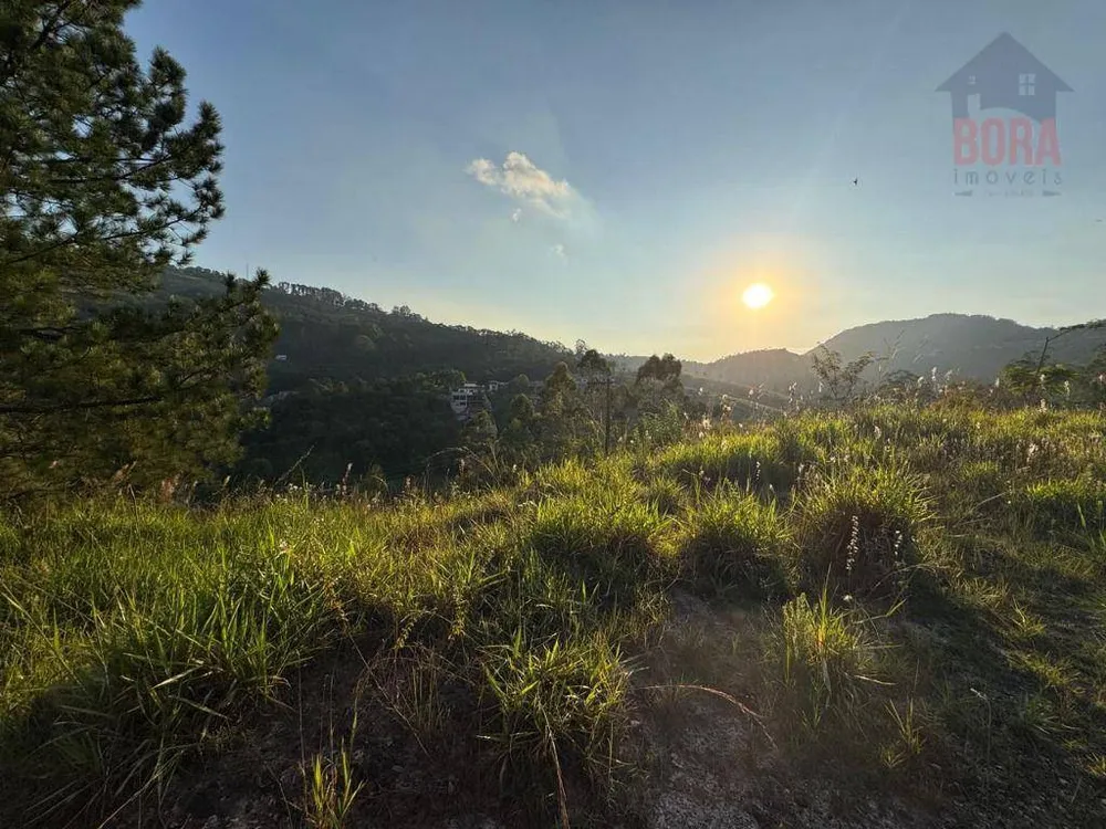Terreno, 1029 m² - Foto 4