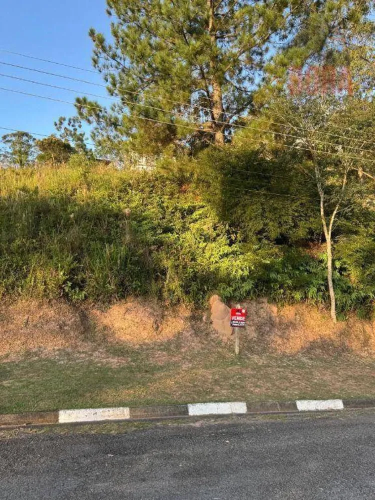 Terreno, 1029 m² - Foto 6