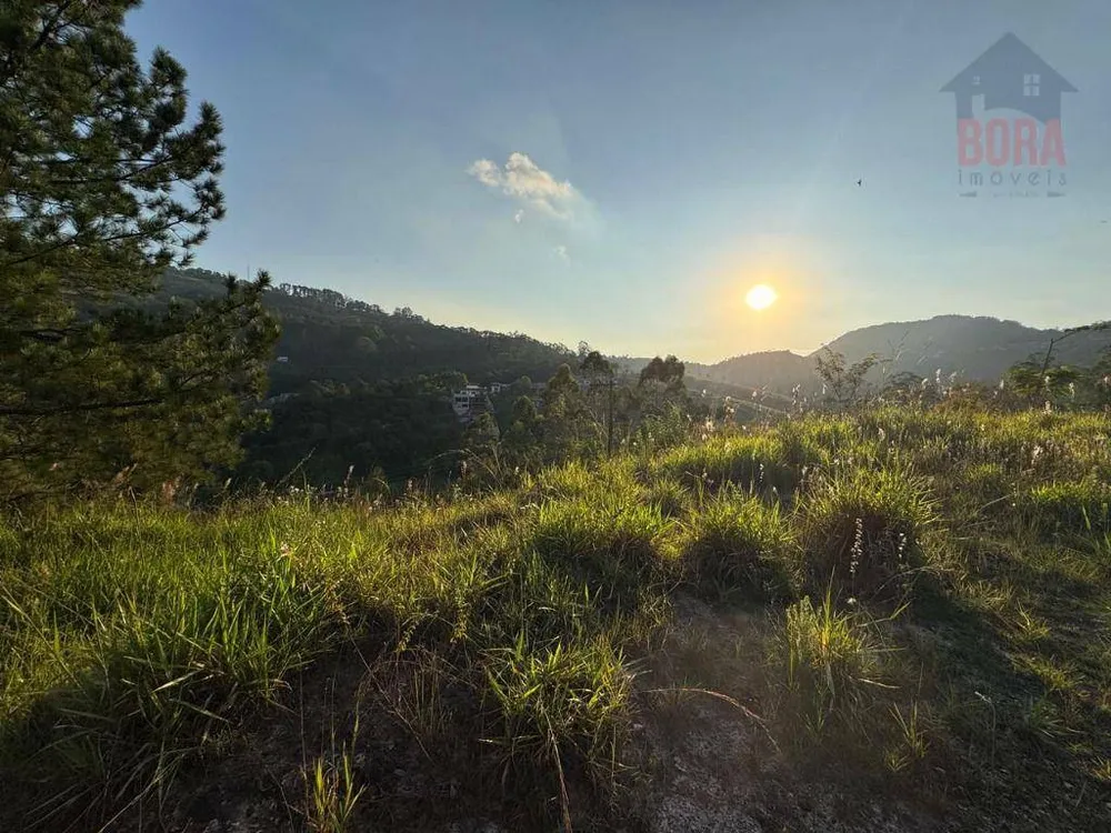 Terreno, 1029 m² - Foto 7