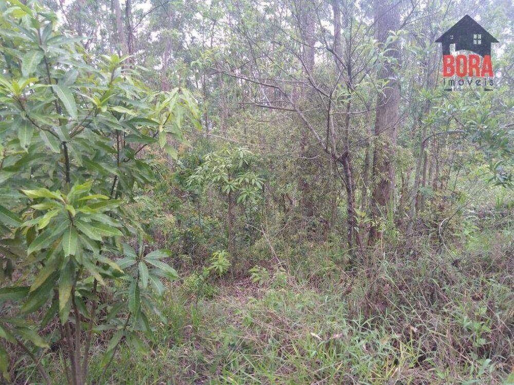 Terreno, 1800 m² - Foto 5