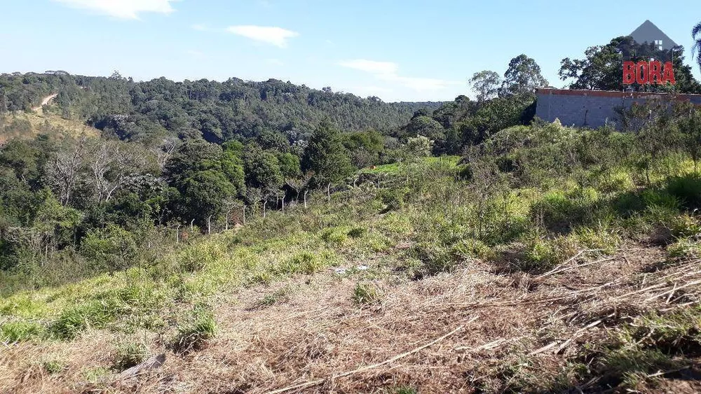 Terreno à venda, 1300M2 - Foto 3