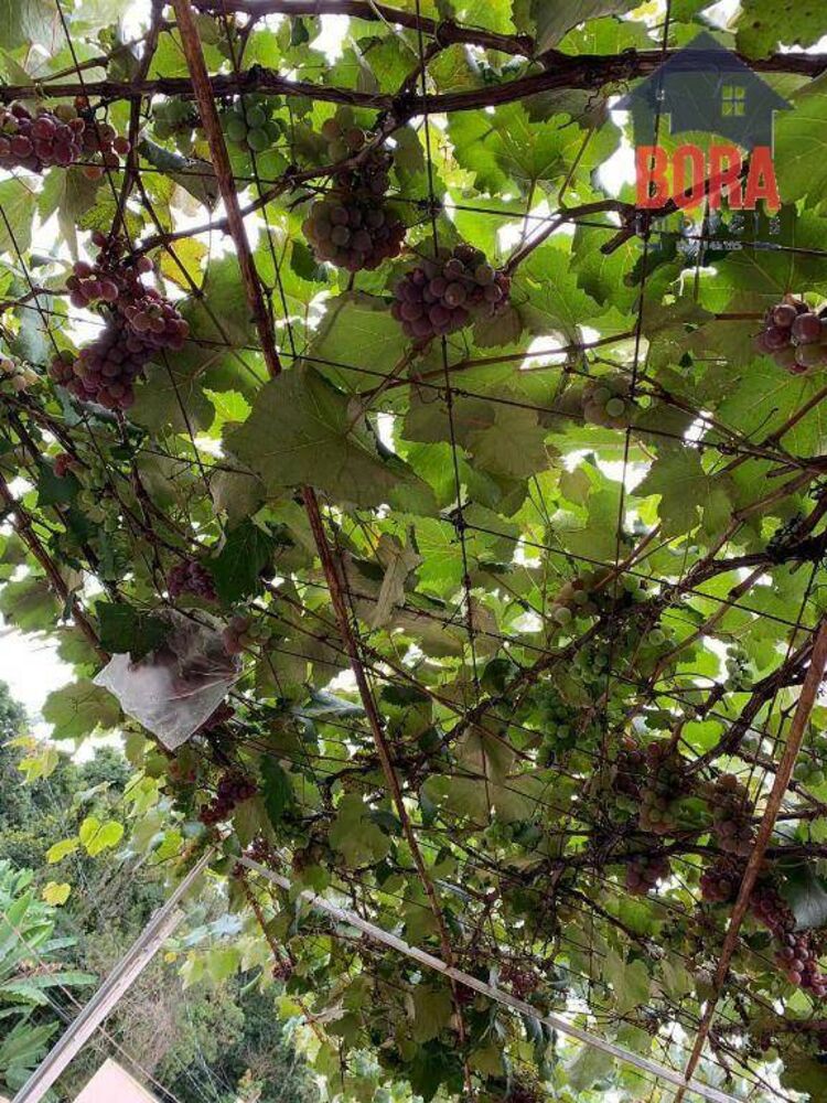 Casa, 2 quartos, 87 m² - Foto 18