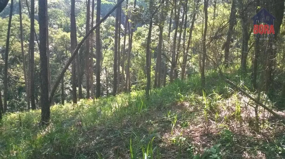 Loteamento e Condomínio à venda, 1010M2 - Foto 3