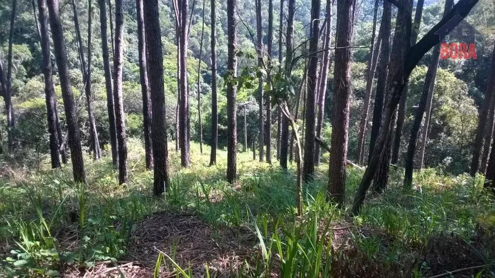 Loteamento e Condomínio à venda, 1010M2 - Foto 2