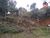 Terreno, 630 m² - Foto 4