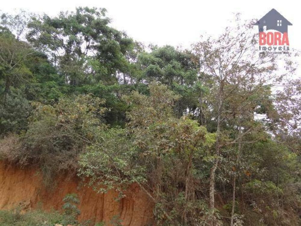 Terreno, 3000 m² - Foto 5