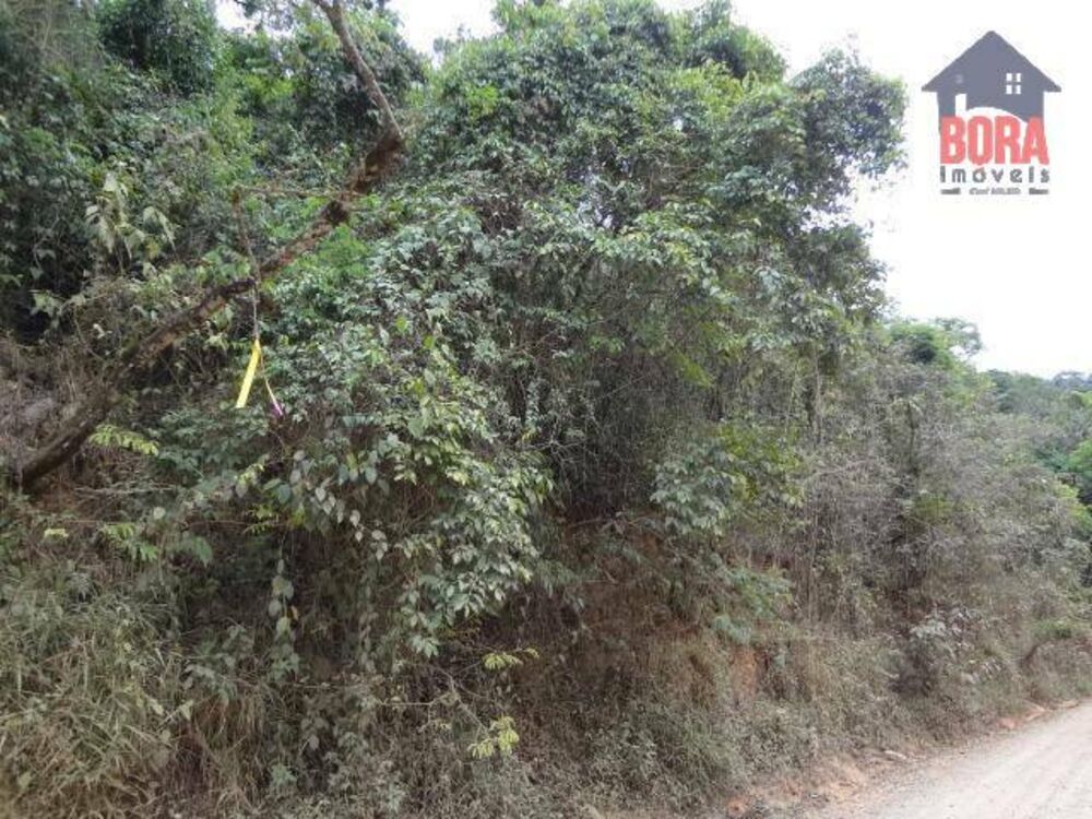 Terreno, 3000 m² - Foto 2