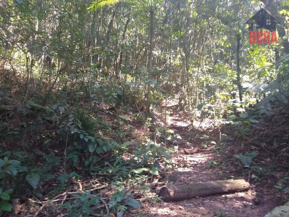 Terreno, 703 m² - Foto 8