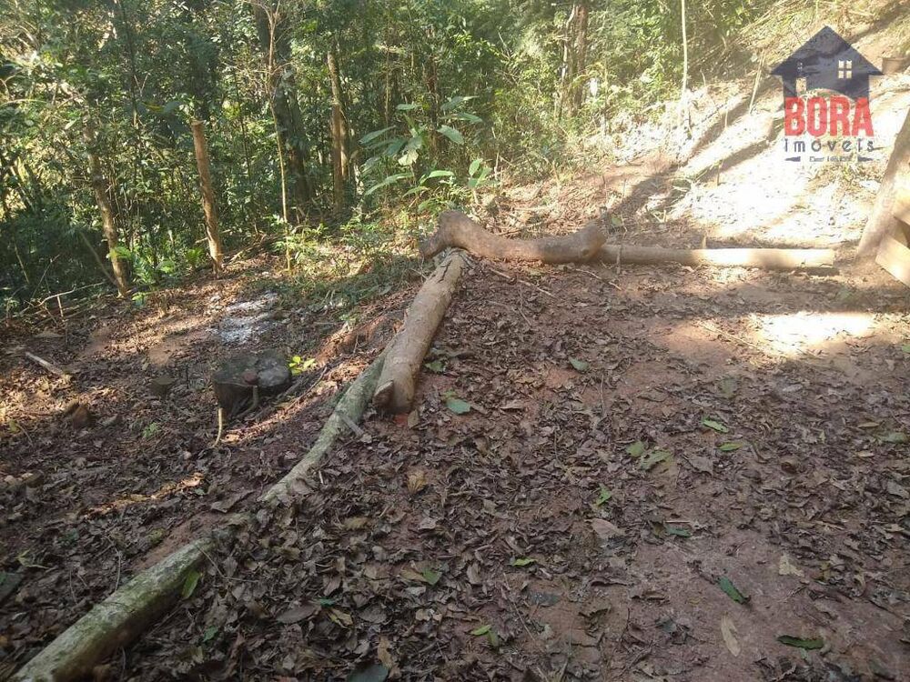 Terreno, 703 m² - Foto 6