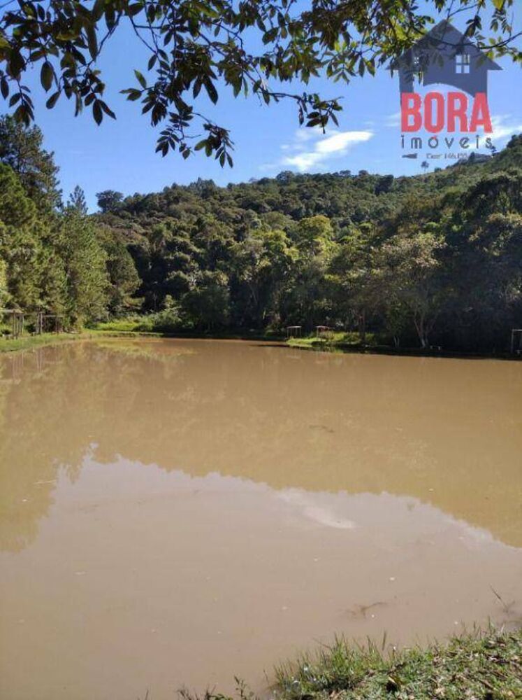 Chácara, 3 quartos, 2 hectares - Foto 3