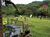 Chácara, 3 quartos, 2 hectares - Foto 4