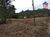 Chácara, 3 quartos, 2 hectares - Foto 2