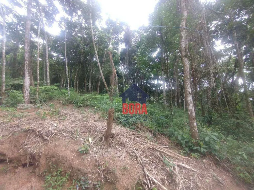 Terreno, 1000 m² - Foto 1