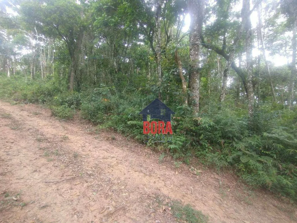 Terreno, 1000 m² - Foto 2