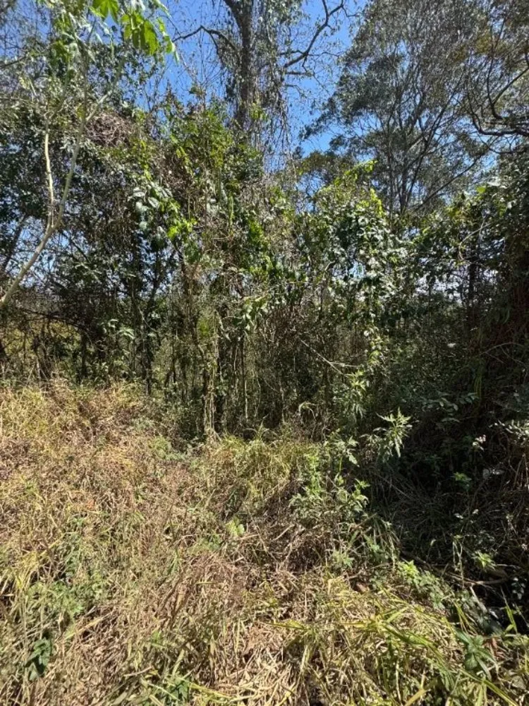 Loteamento e Condomínio, 1470 m² - Foto 4
