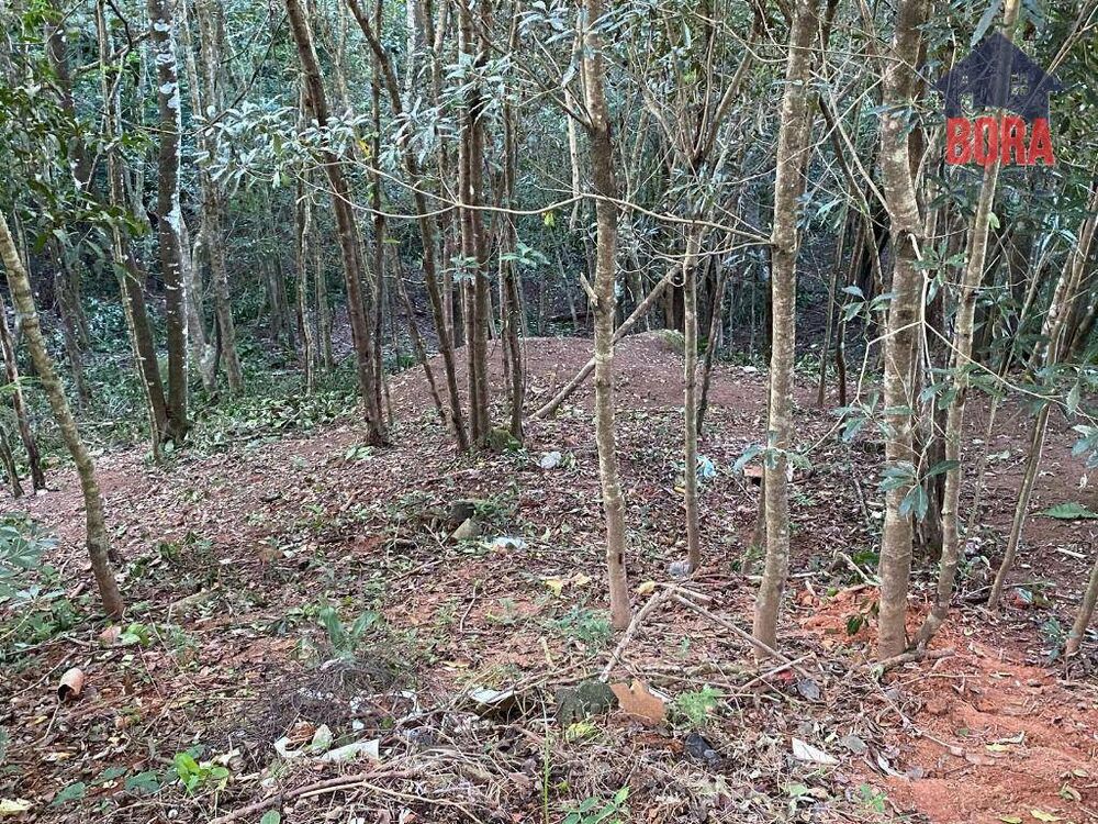 Terreno, 518 m² - Foto 7