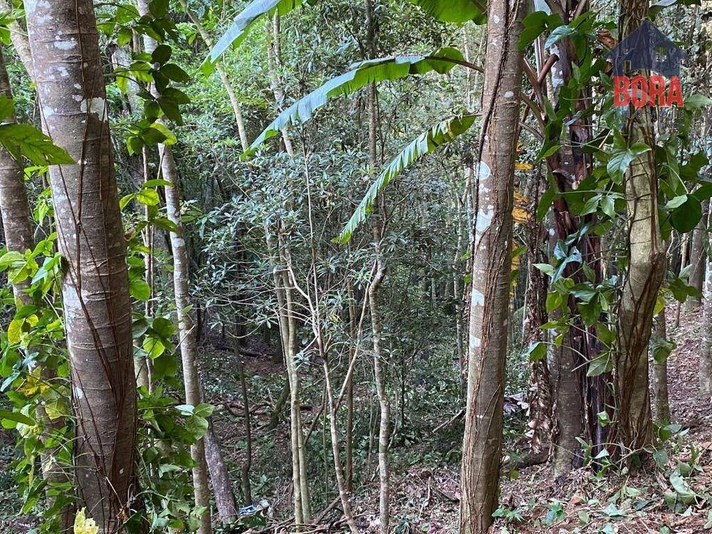 Terreno, 518 m² - Foto 4