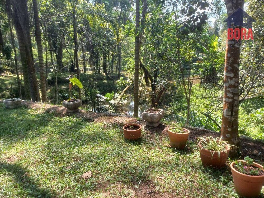 Chácara, 3 quartos, 6000 m² - Foto 2