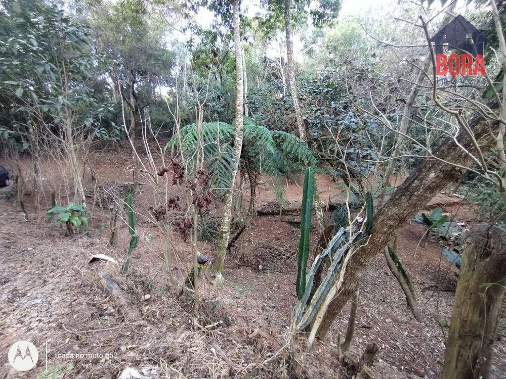 Terreno, 350 m² - Foto 2