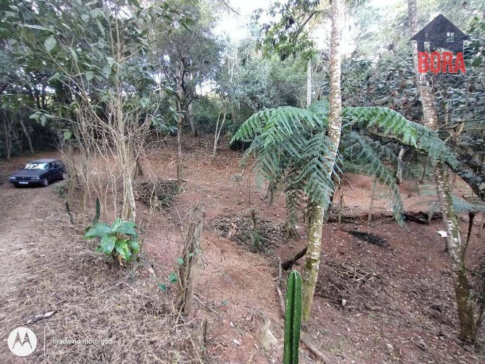 Terreno, 350 m² - Foto 4