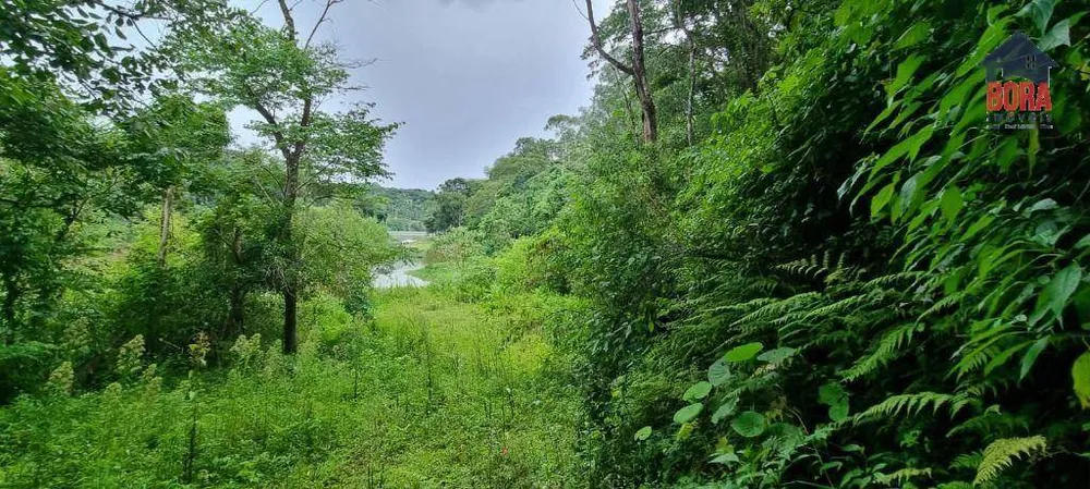 Terreno, 4 hectares - Foto 15