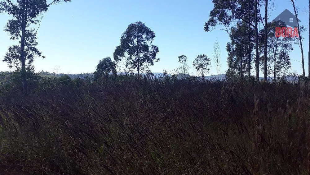 Terreno à venda, 536M2 - Foto 2