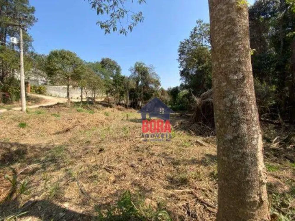 Terreno, 1392 m² - Foto 3