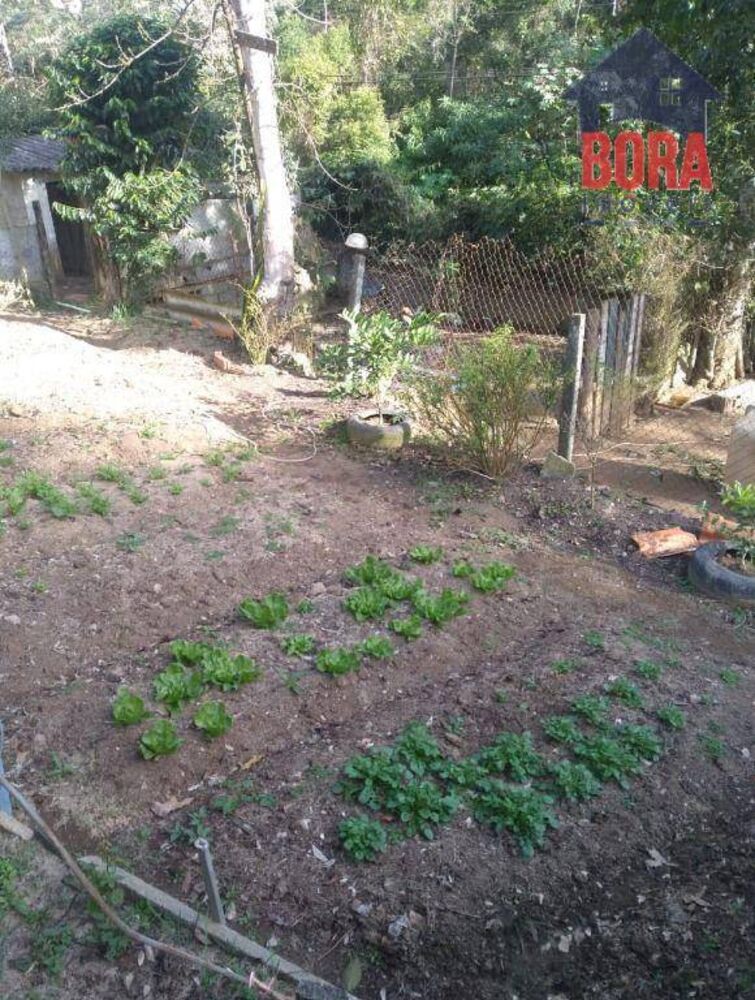 Chácara, 2 quartos, 840 m² - Foto 4