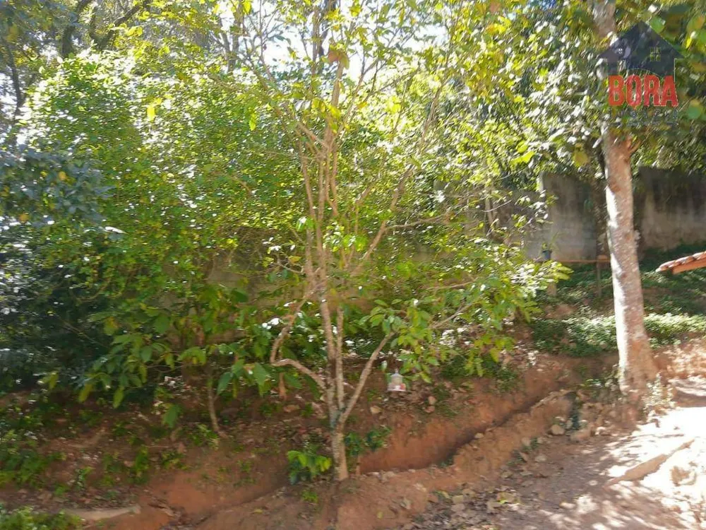 Chácara, 3 quartos, 2420 m² - Foto 6