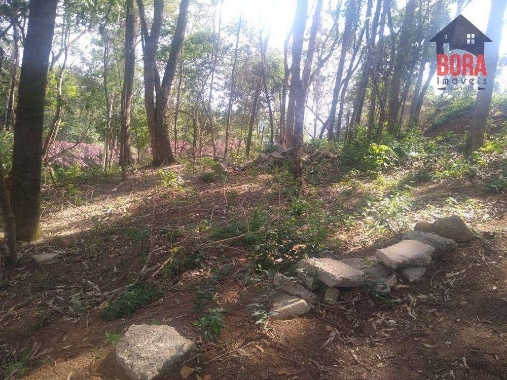 Terreno, 1546 m² - Foto 4