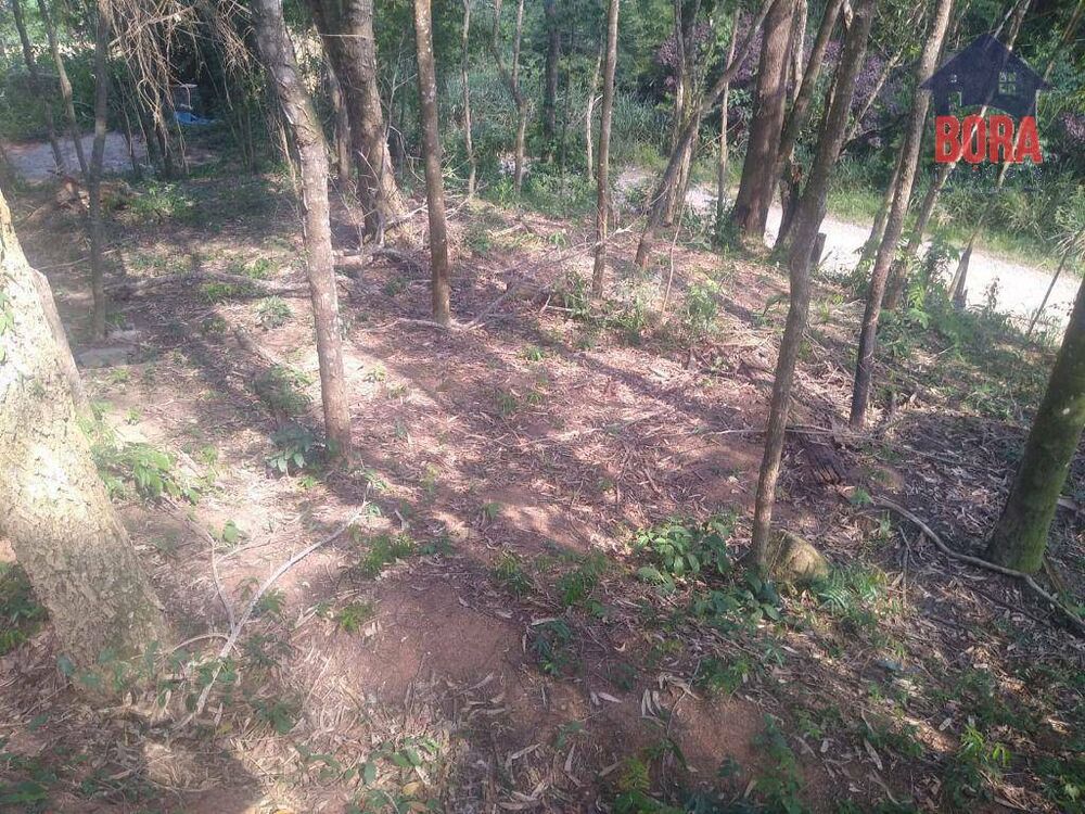 Terreno, 1546 m² - Foto 2