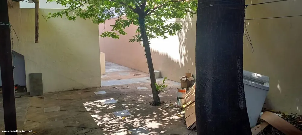 Casa, 8 quartos, 300 m² - Foto 15