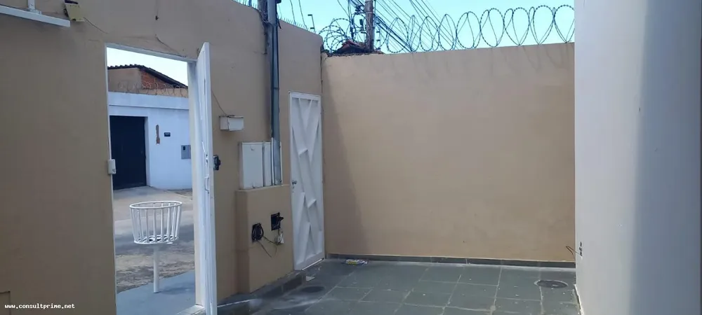 Casa, 8 quartos, 300 m² - Foto 3