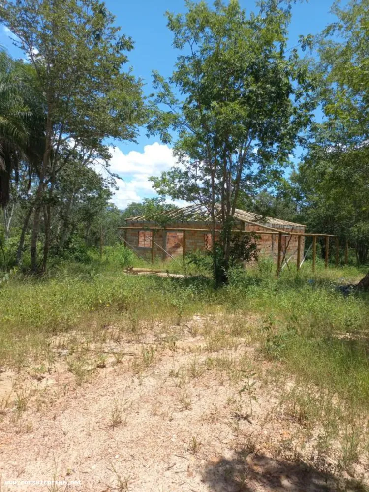 Fazenda, 48 hectares - Foto 5