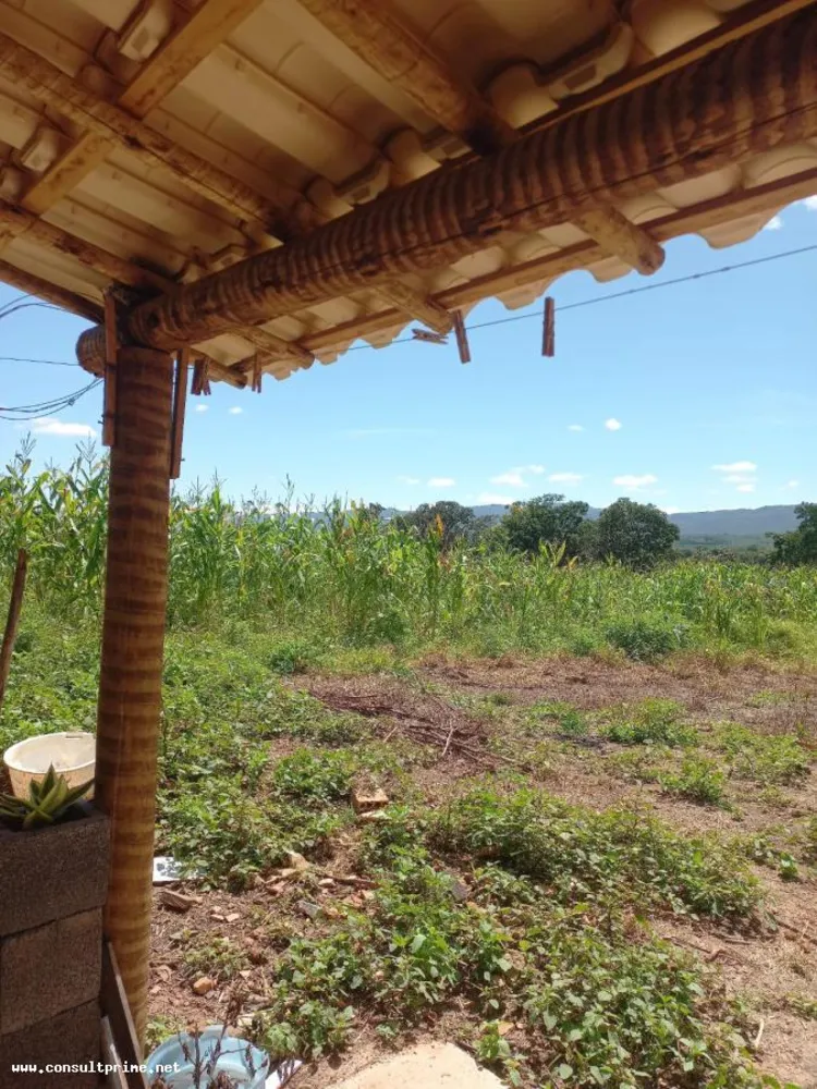 Fazenda, 48 hectares - Foto 8