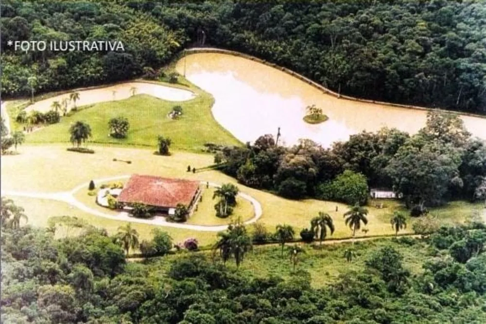 Terreno, 50 hectares - Foto 4