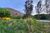 Terreno, 872 m² - Foto 13