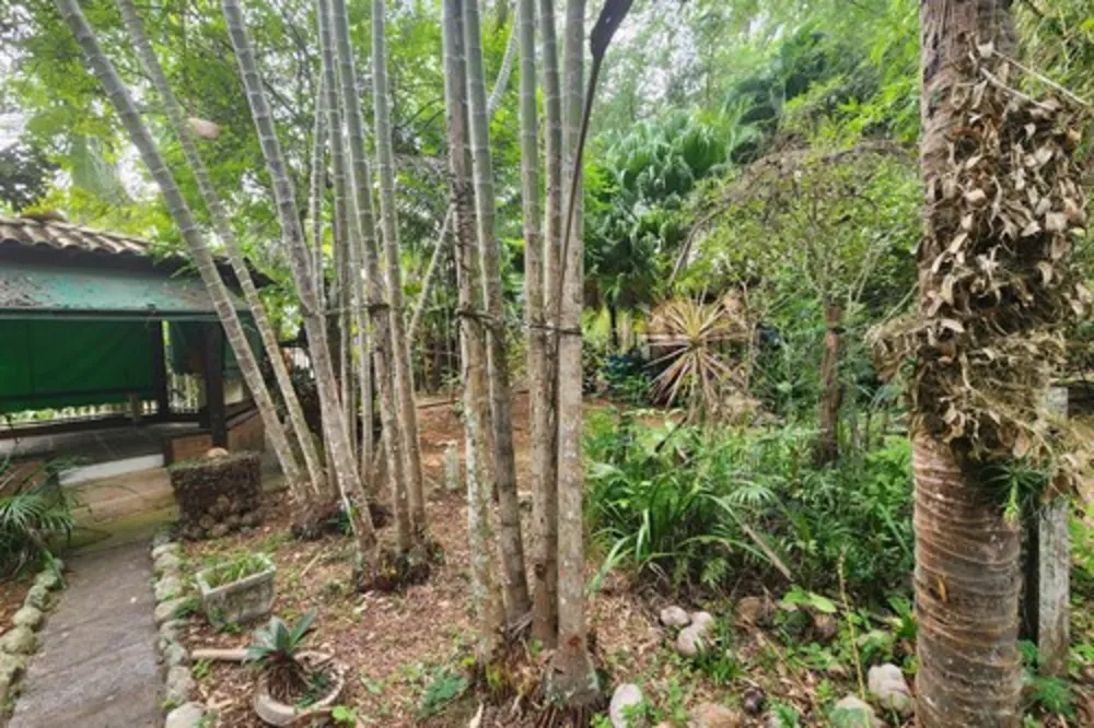 Chácara, 4 quartos, 2295 m² - Foto 6